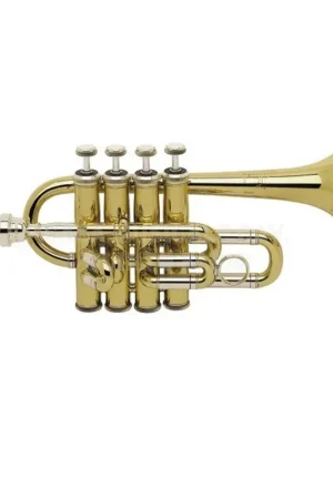 Compra Adesso Bach Trombino a 4 pistoni Stradivarius 196 Da Collezione Sound Reload