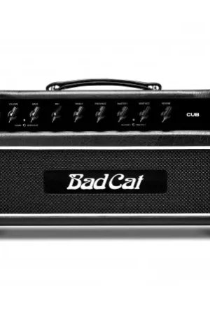 BAD CAT CUB HEAD Novità
