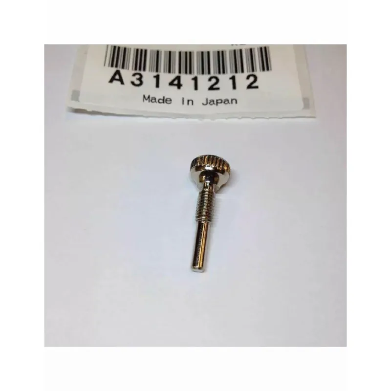Yamaha Yamaha a3141212 vite stopper pompa tromba A3141212 Offerta Lampo
