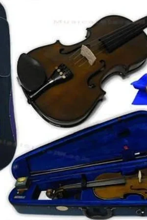 Offerta Lampo Stentor Stentor student i violino 4/4 VL1100