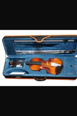 Più Venduto Domus Allievo 2 VL4200 4/4 Violino