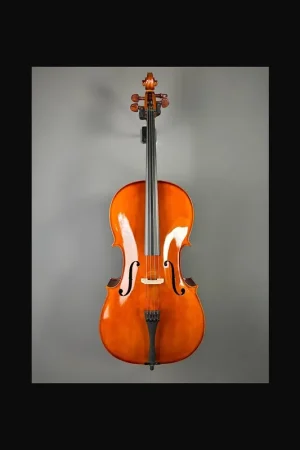 Domus Allievo 1 Violoncello con Borsa Arco 4/4 Ultimissimo Modello